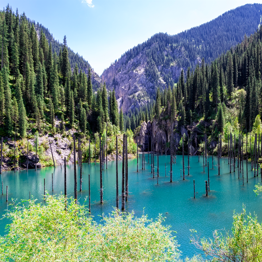 중앙아시아 스탄2국